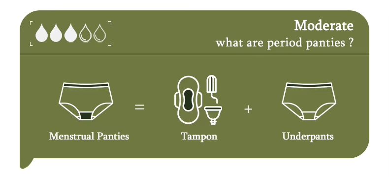 Détail des couches absorbantes de la culotte menstruelle Serenity